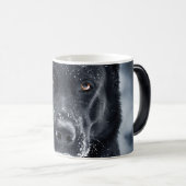 Mug Magique Black German Shepherd (Devant droit)