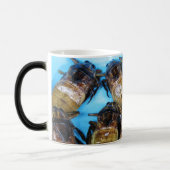 Mug Magique Bogue d'eau géante frite (Maeng Daa) ... Alimentat (Gauche)