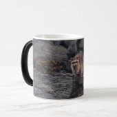 Mug Magique Café de raton laveur (Devant gauche)