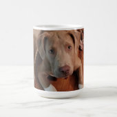 Mug Magique Canine (Centre)