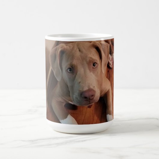 Mug Magique Canine (Centre)