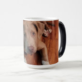 Mug Magique Canine (Devant droit)