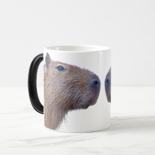 Mug Magique Capybara (Devant gauche)