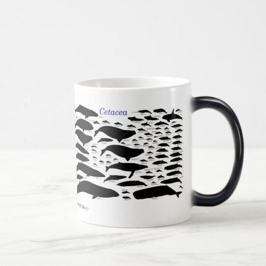 Mug Magique Cetaceans (Droite)