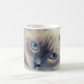 Mug Magique Chat ‎ (Centre)