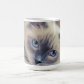 Mug Magique Chat ‎ (Centre)