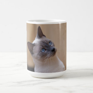 Mug Magique Chat de Siamese