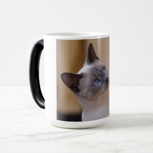 Mug Magique Chat de Siamese (Devant gauche)