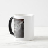 Mug Magique Chat gris bleu russe (Devant gauche)