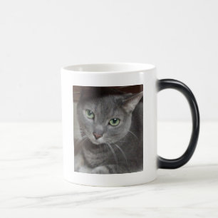 Mug Magique Chat gris bleu russe