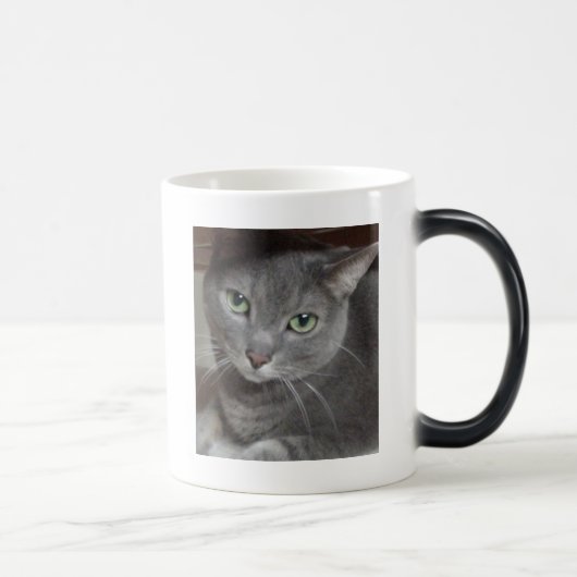 Mug Magique Chat gris bleu russe (Droite)