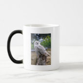 Mug Magique Chouette à neige (Gauche)