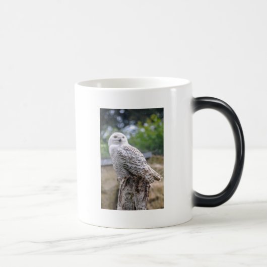 Mug Magique Chouette à neige (Droite)