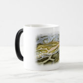 Mug Magique Closeup de python indien (Devant gauche)
