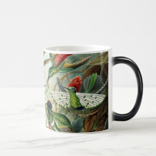 Mug Magique Colibri (Droite)
