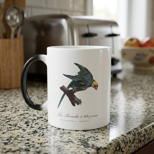 Mug Magique Conure de Caroline, Conuropsis carolinensis