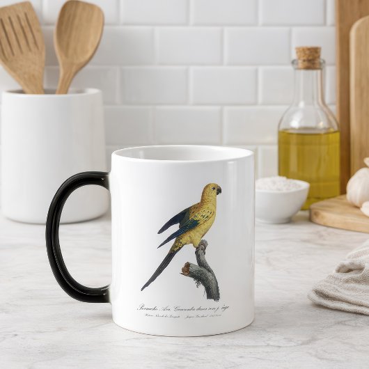 Mug Magique Conure soleil Aratinga solstitialis