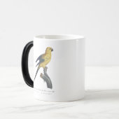 Mug Magique Conure soleil Aratinga solstitialis (Devant gauche)