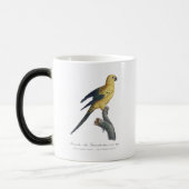 Mug Magique Conure soleil Aratinga solstitialis (Gauche)
