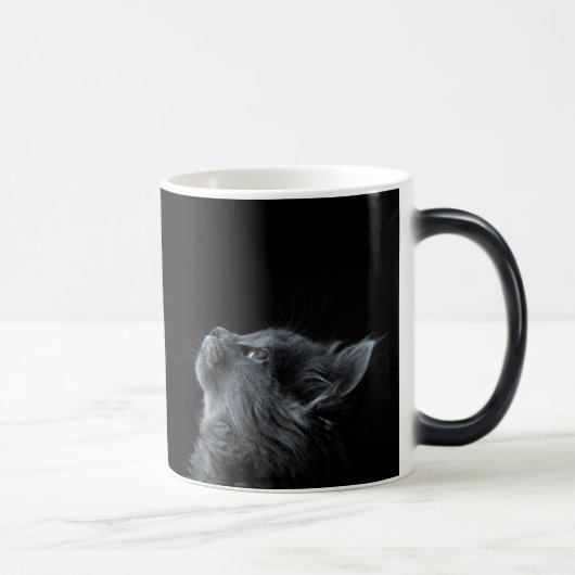 Mug Magique Curieux Kitten Noir (Droite)