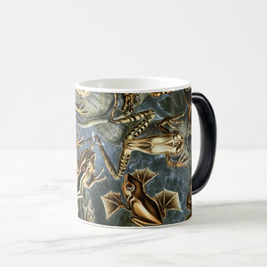 Mug Magique Ernst Haeckel variété de grenouilles exotiques : B (Devant droit)