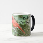 MUG MAGIQUE ÉTAT DE L'OISEAU ROUGE DE L'OHIO (Devant droit)