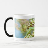 Mug Magique Fleur de lilas - Primus Inter Pares (Gauche)