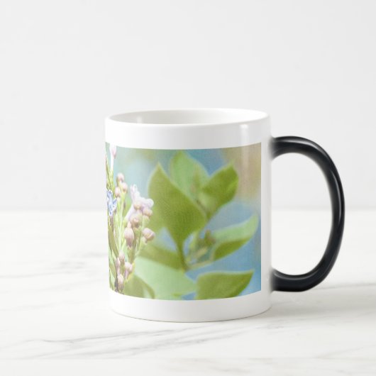 Mug Magique Fleur de lilas - Primus Inter Pares (Droite)