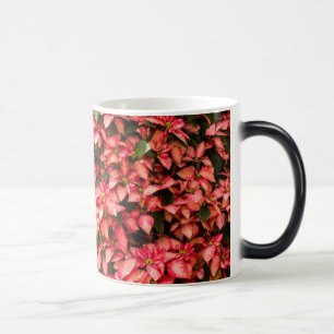 Mug Magique Fleur de Noël "Poinsettia"