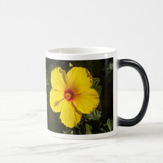 Mug Magique Fleur d'Hibiscus jaune (Droite)