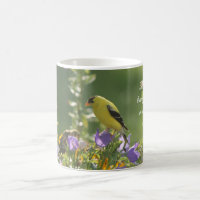 Goldfinch sur Harebell Flower