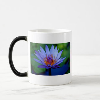 MUG MAGIQUE GRAISSE FLORALE