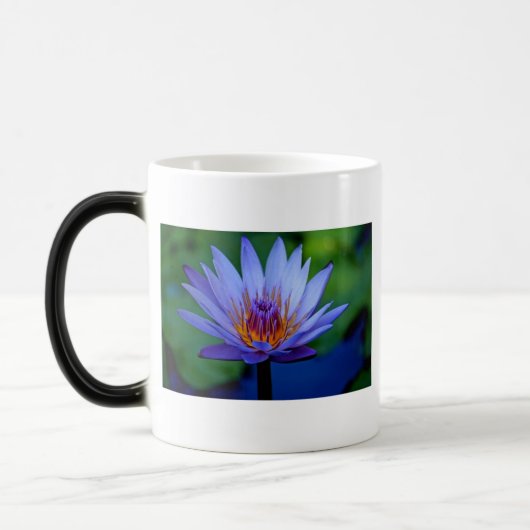 MUG MAGIQUE GRAISSE FLORALE (Gauche)