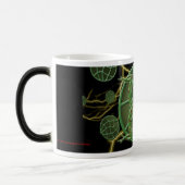 Mug Magique Grenouille cosmique (Gauche)