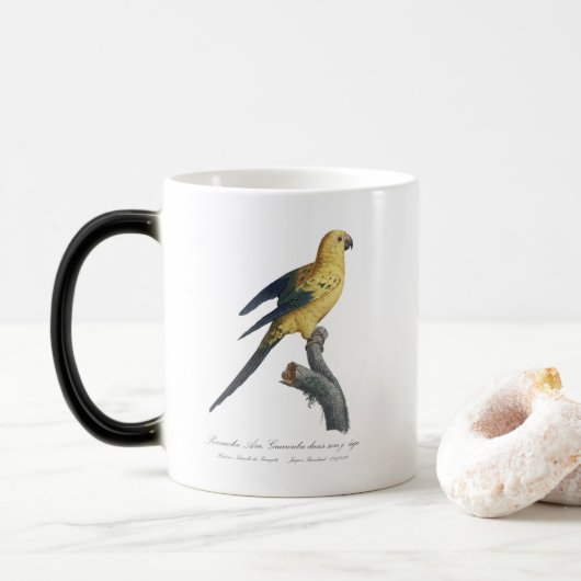 Mug Magique Guarouba dans fils jeune âge / Sun parakeet (Avec donut)
