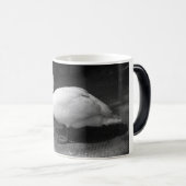 Mug Magique HiSS (Devant droit)