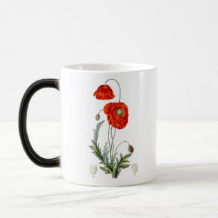 Mug Magique Illustration de coquelicot rouge dessiné à la main