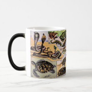 Mug Magique Illustration de Reptiles vintages par Adolphe Mill