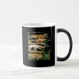 Mug Magique Ils Dawgs !