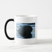Mug Magique Irrawaddy Dolphin Cache-Cache (Gauche)