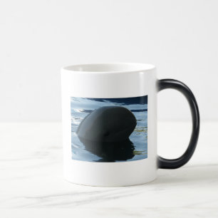 Mug Magique Irrawaddy Dolphin Cache-Cache