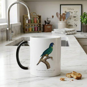 Mug Magique Jeune loriquet arc-en-ciel Trichoglossus moluccanu