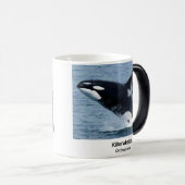 Mug Magique Killerwhale , Orcinus orca (Devant droit)