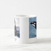 Mug Magique Killerwhale , Orcinus orca (Centre)
