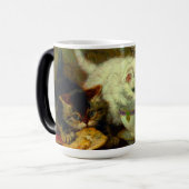 Mug Magique Kittens Tea Party (Devant gauche)