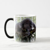 Mug Magique Koala câlin (Gauche)