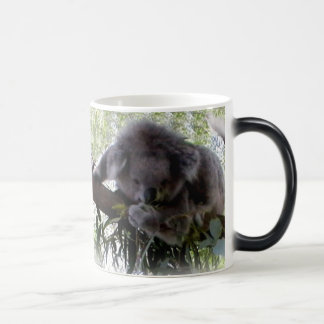 Mug Magique Koala câlin