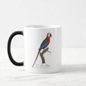 Mug Magique L' Ara Macao / Red and green Macaw  (Gauche)