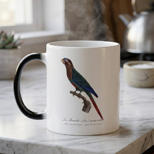 Mug Magique La conure emmaillotée, Pyrrhura Picta