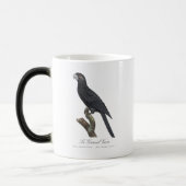 Mug Magique Le Grand Vaza / Grand Vasa Parrot (Gauche)